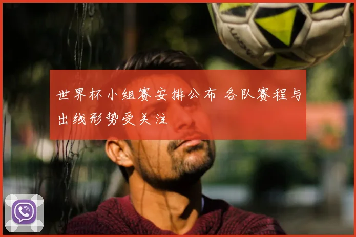 世界杯小组赛安排公布 各队赛程与出线形势受关注