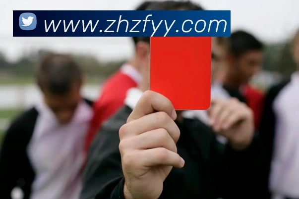 世界杯平台官网登录平台生态图