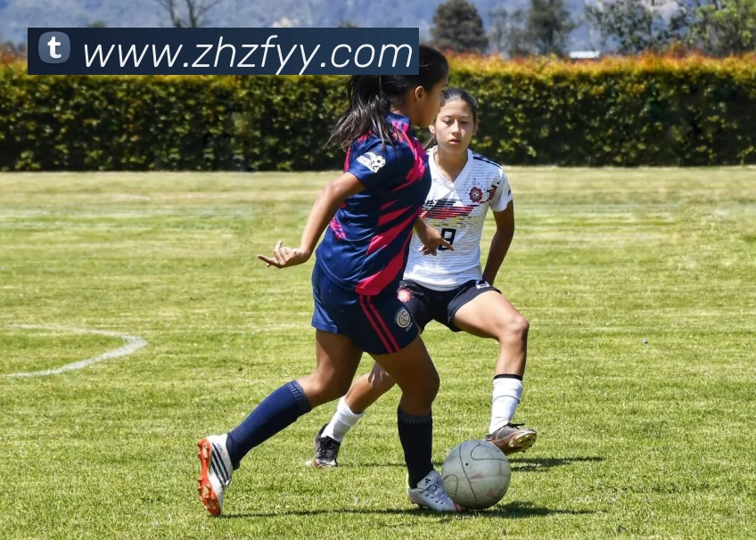 数据防护可视化